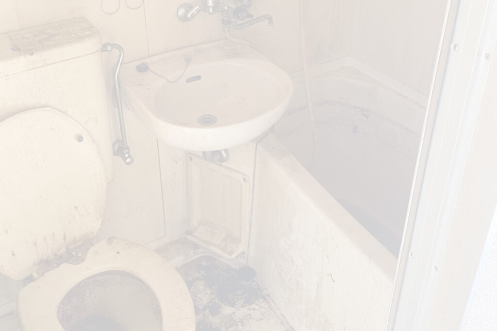 画像：※汚い画像になりますので白く加工しております。