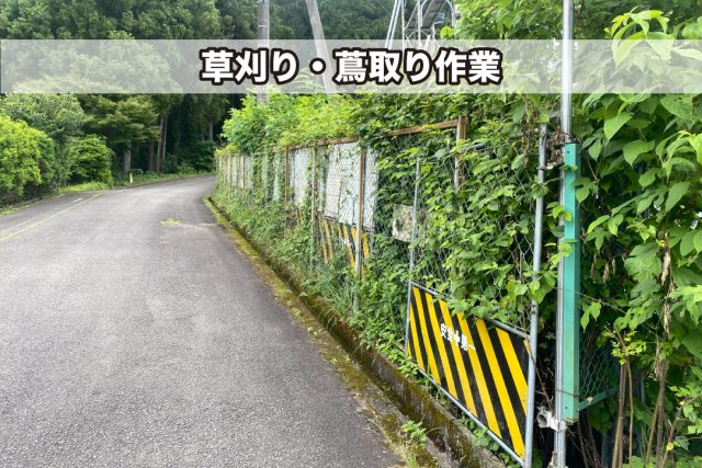 草刈り蔦取り