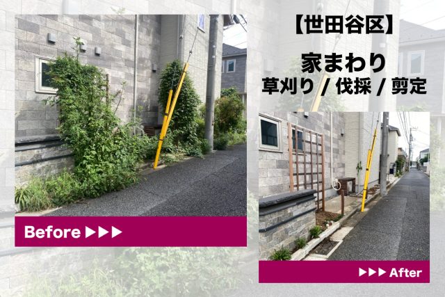 剪定　草刈り　伐採