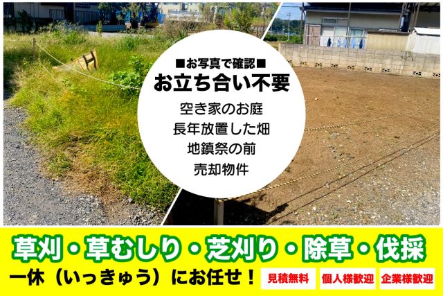 草刈り　立ち合い不要