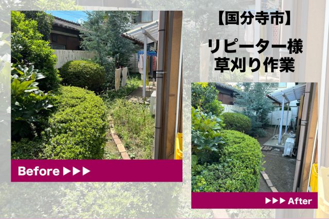 庭　草刈り
