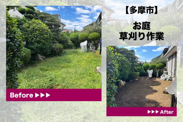 多摩市　草刈り