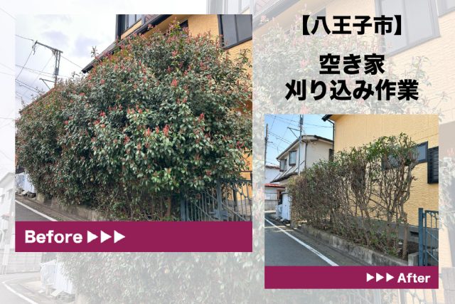 八王子市刈り込み