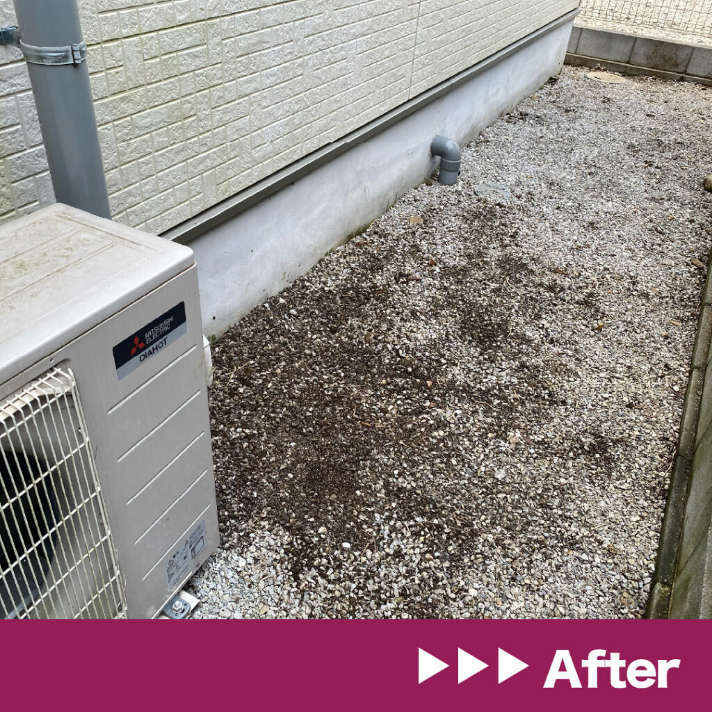 画像：After（抜根）