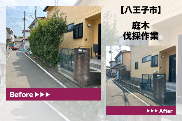 八王子市　木伐採