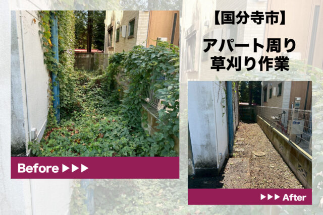 国分寺市アパート草刈り