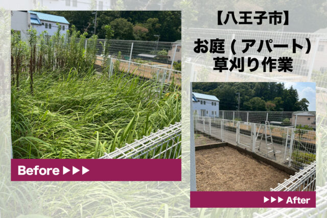八王子市　アパートお庭草刈り